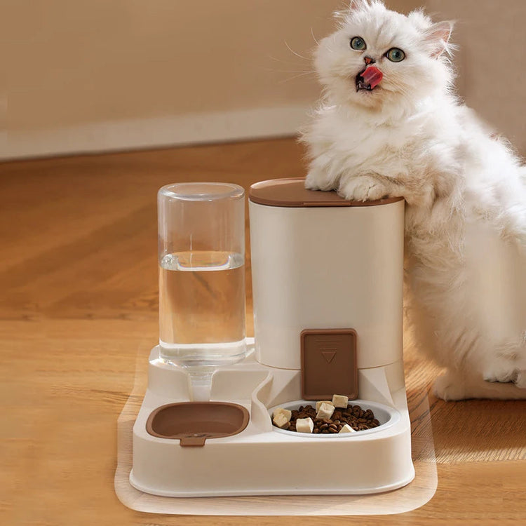 $20 to $50 AUD – Pamper Your Pets in Style!
