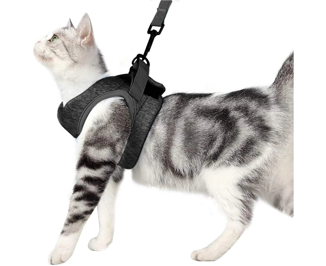 Ultralight Cat Harness and Leash Soft and Comfortable Kitten Collar Running Cat Walking Jacket, Leak Proof Suitable for Puppies Rabbits
