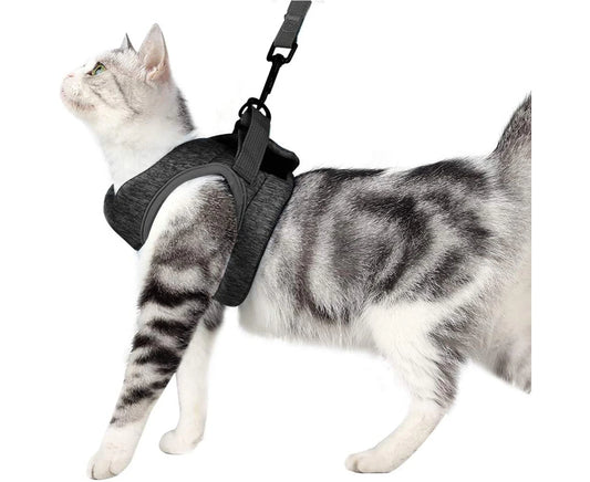 Ultralight Cat Harness and Leash Soft and Comfortable Kitten Collar Running Cat Walking Jacket, Leak Proof Suitable for Puppies Rabbits
